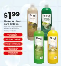 Shampoo con cola de caballo Soul 1000ml