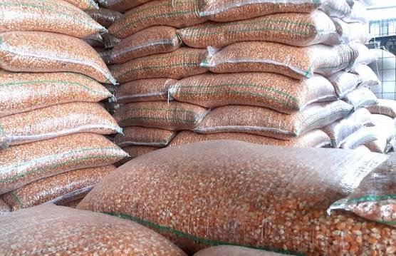 MOROCHILLO  DE 100  LIBRAS