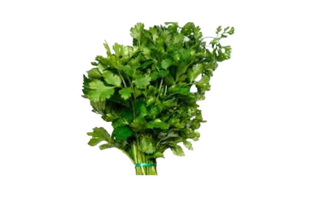 Yierbitas ( Cilantro) 