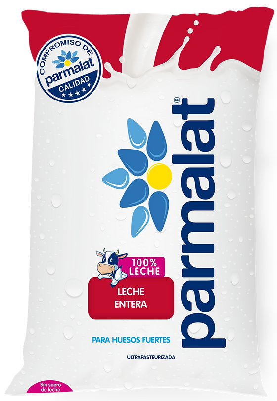 LECHE PARMALAT DE 450 ML